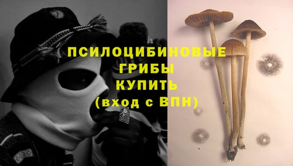 сатива Абаза