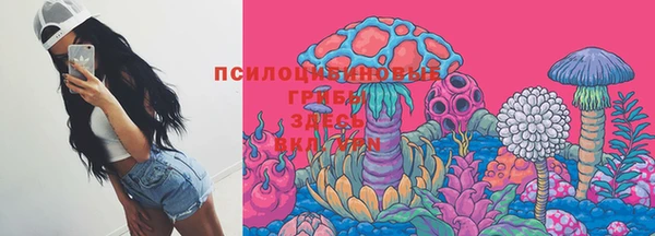 твердый Абинск